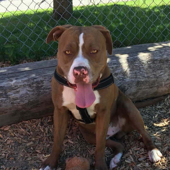 Meet your Posher, Xamida - Picture 1 of 1